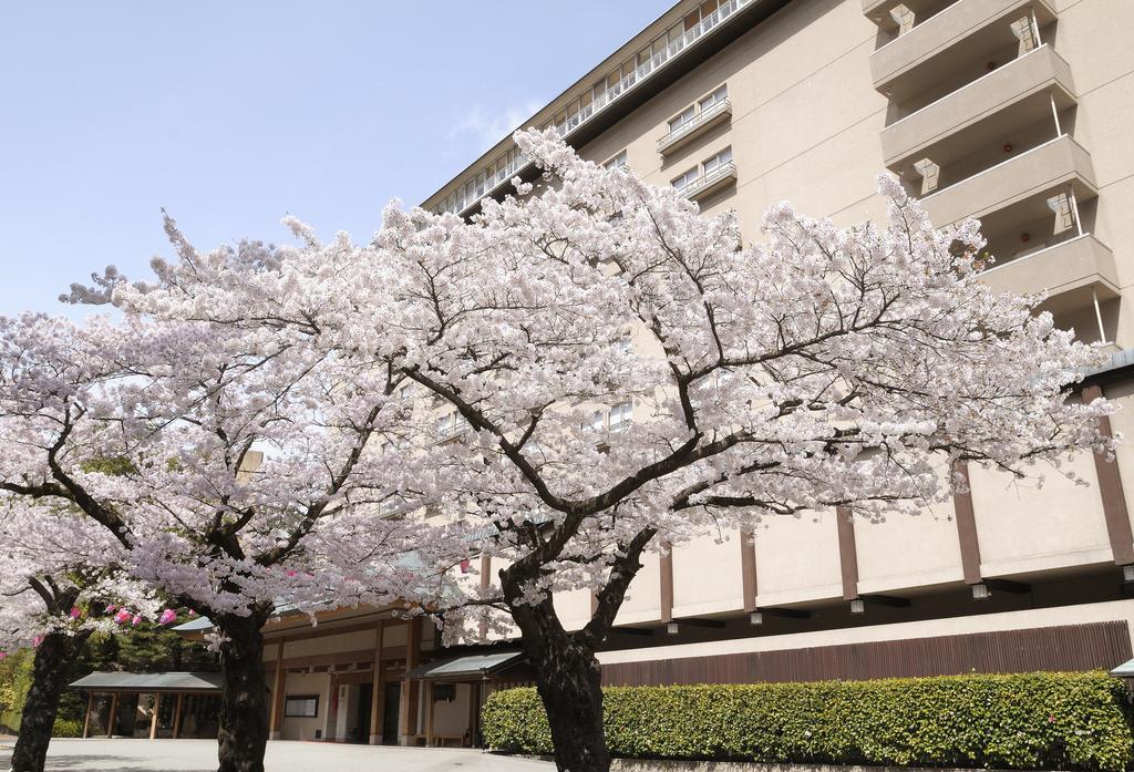 Suimeikan Gero Εξωτερικό φωτογραφία Sakura trees in full bloom
