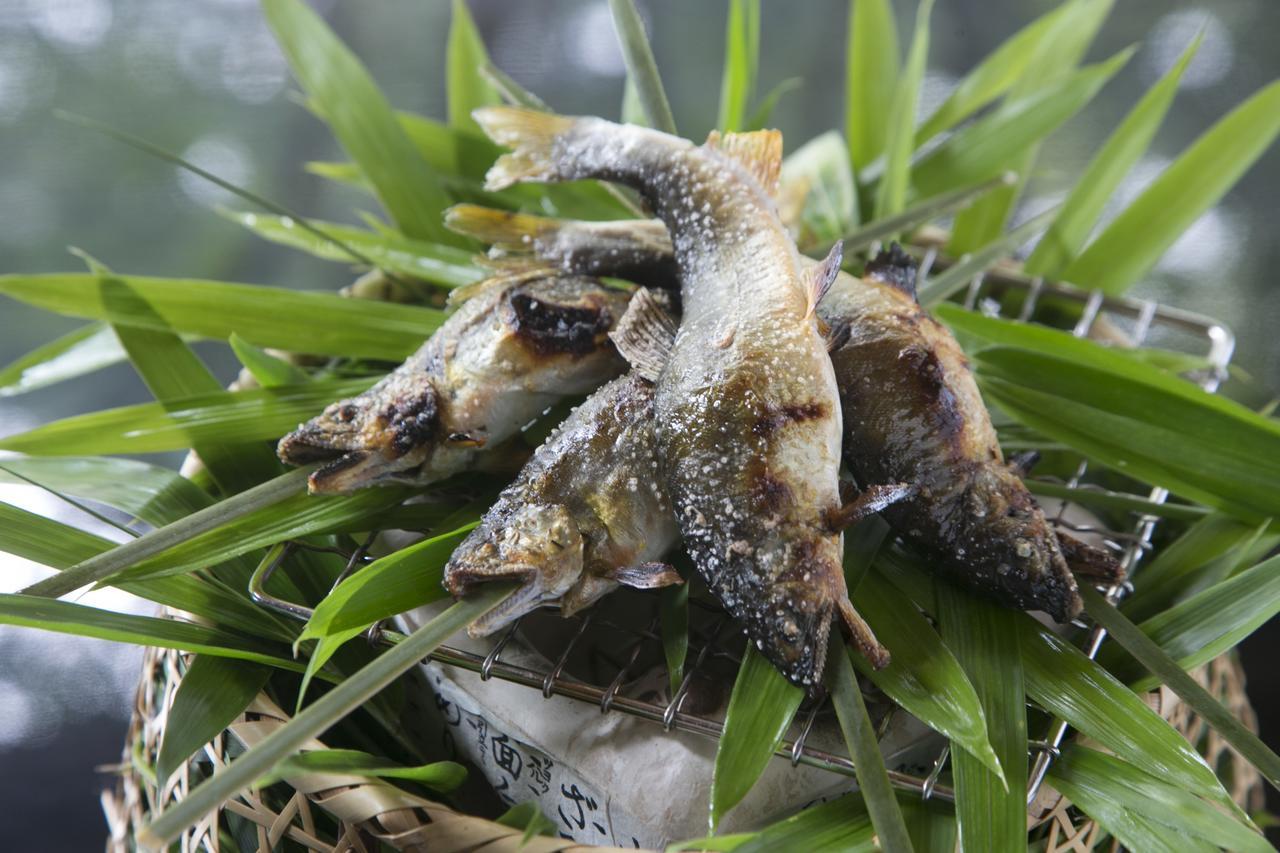 Suimeikan Gero Εξωτερικό φωτογραφία A pair of the frogs