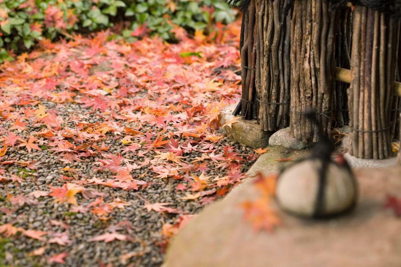 Suimeikan Gero Εξωτερικό φωτογραφία Autumn leaves